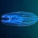 Illustration for article titled These are the alien creatures that secretly lurk under the polar circle